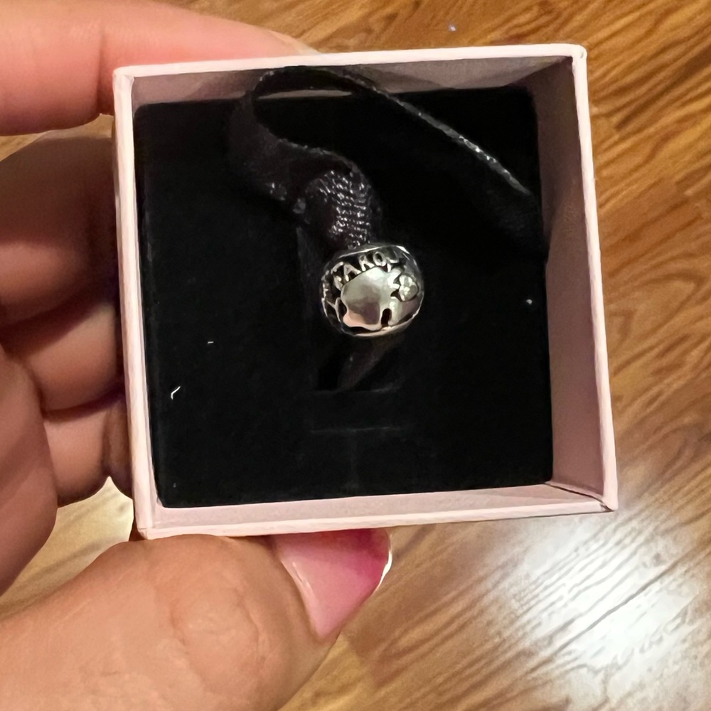 Pandora around the world charm